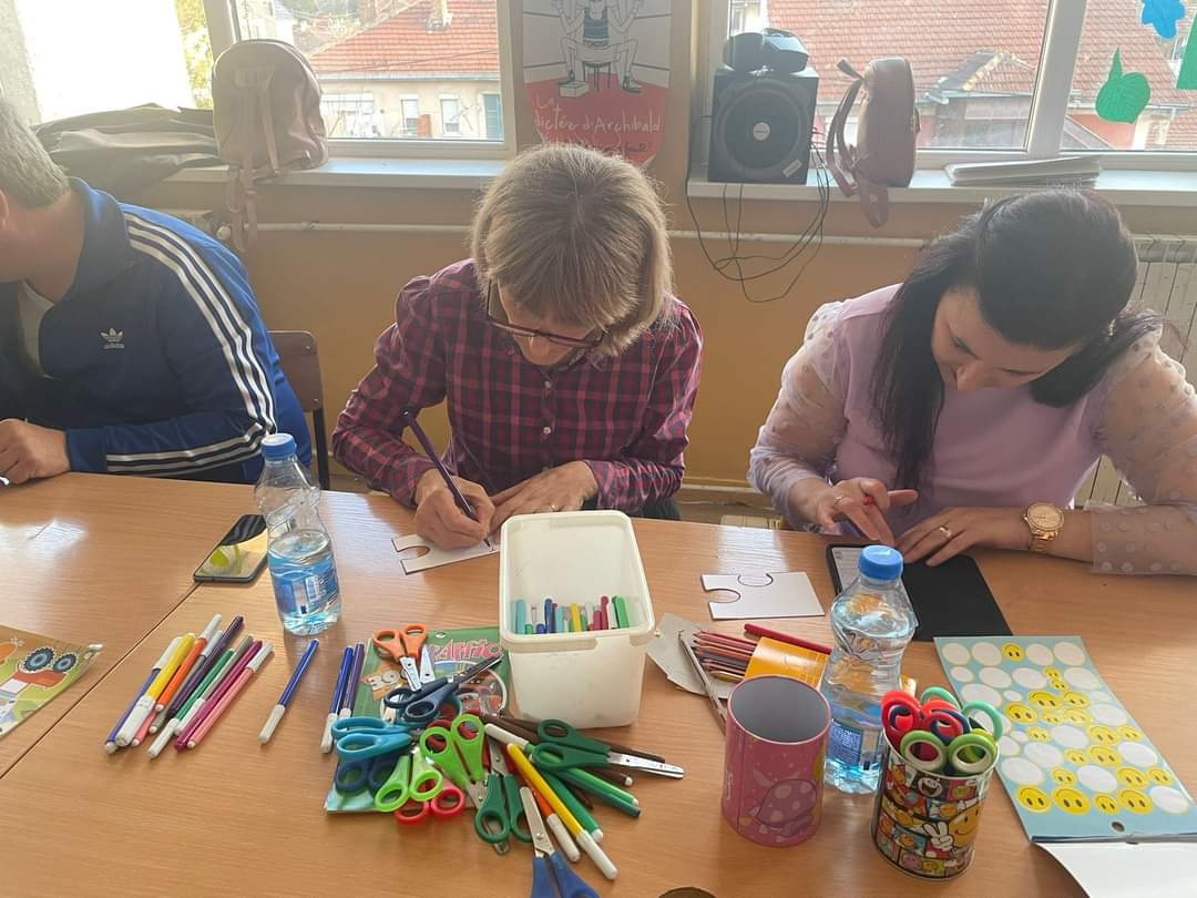Proiect Co-Learning