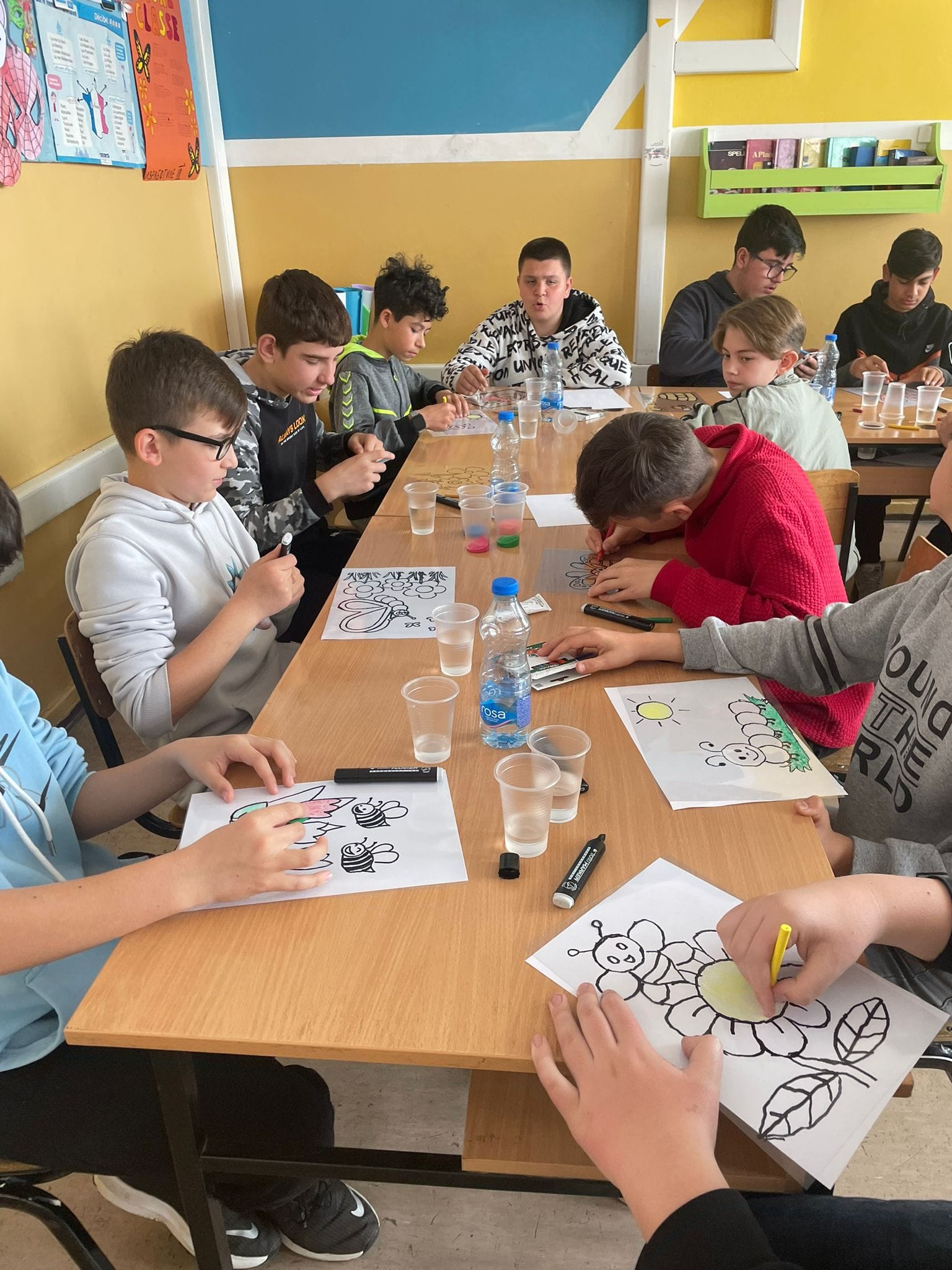 Proiect Co-Learning
